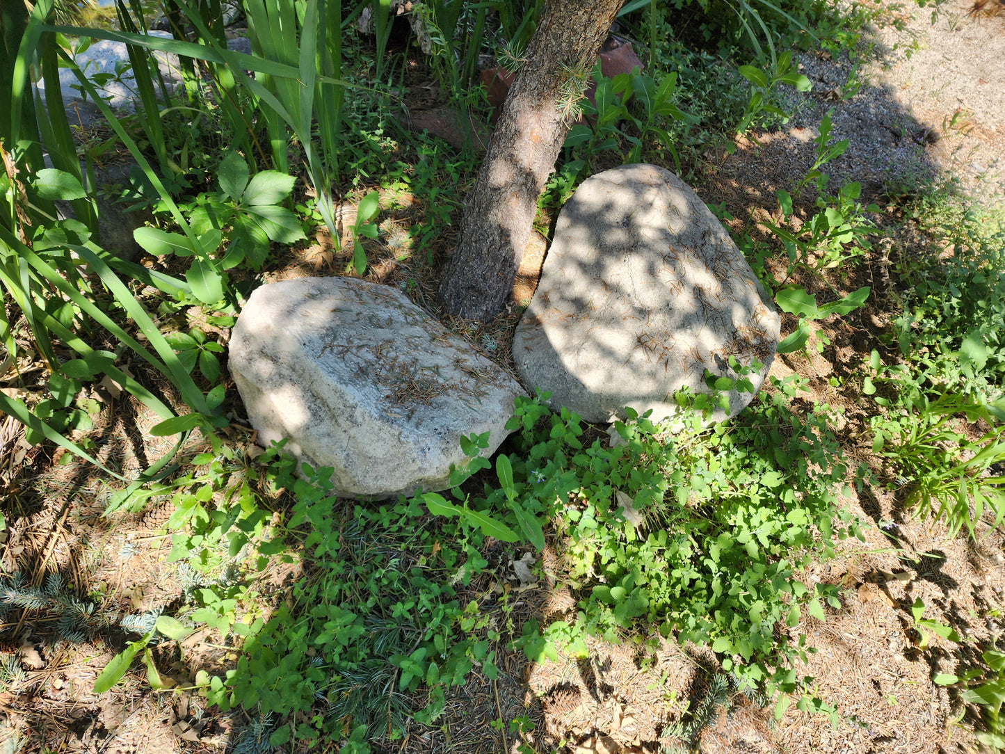 Medium Boulder 18"