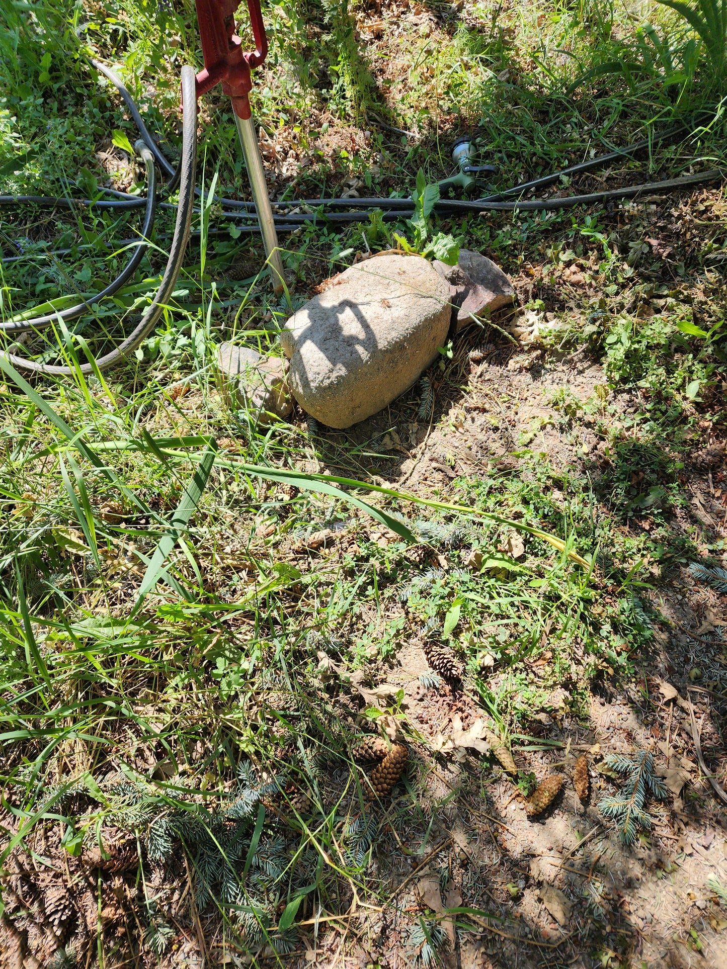 Small Boulder 12"