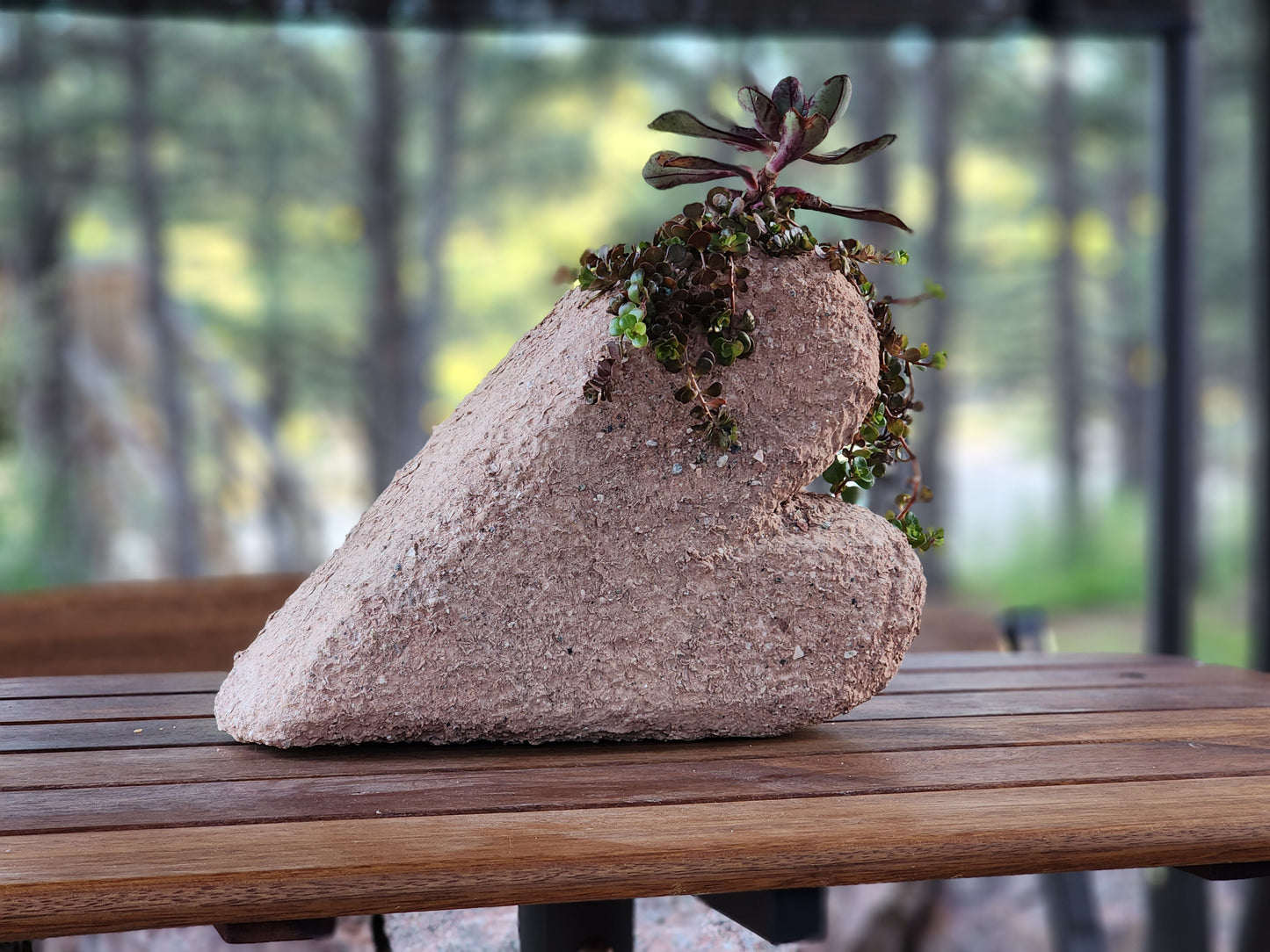 12" Heart Rock succulent planter
