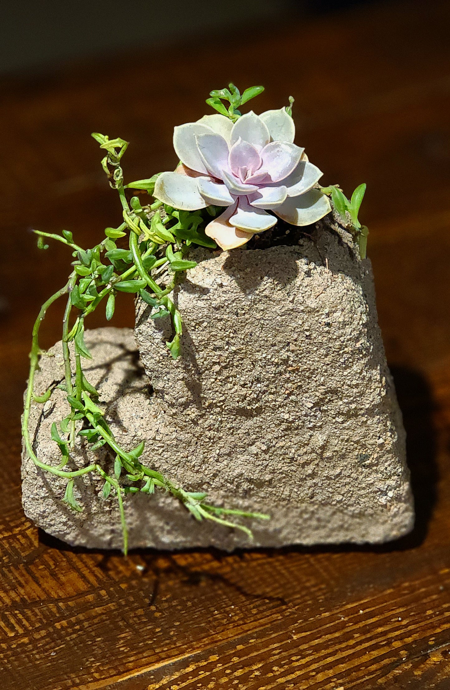 8" Heart Rock Planter