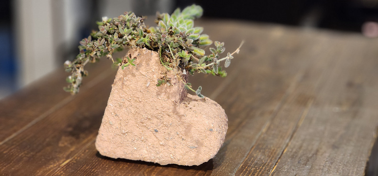 8" Heart Rock Planter