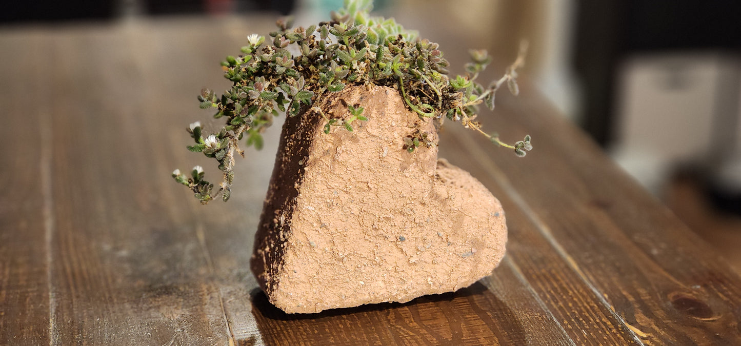 8" Heart Rock Planter