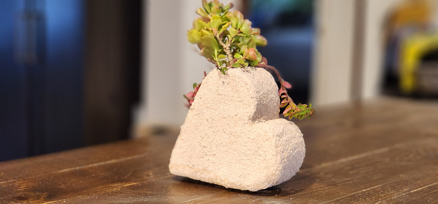 8" Heart Rock Planter