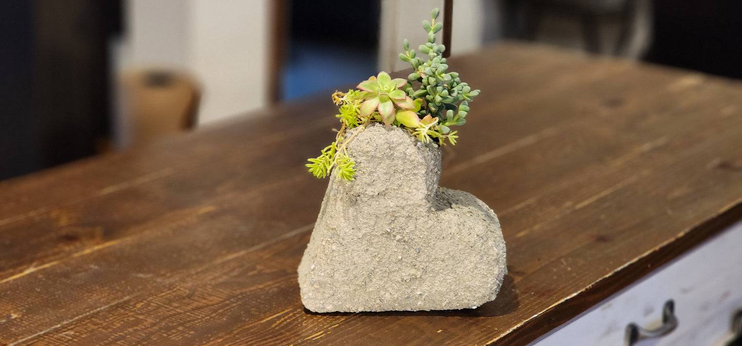 8" Heart Rock Planter