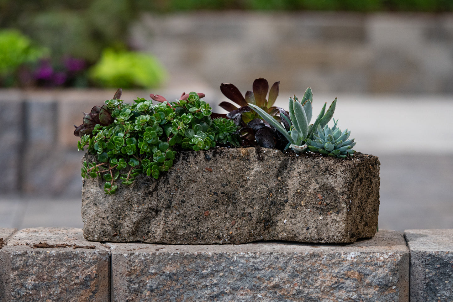 24" Natural Stone Planter