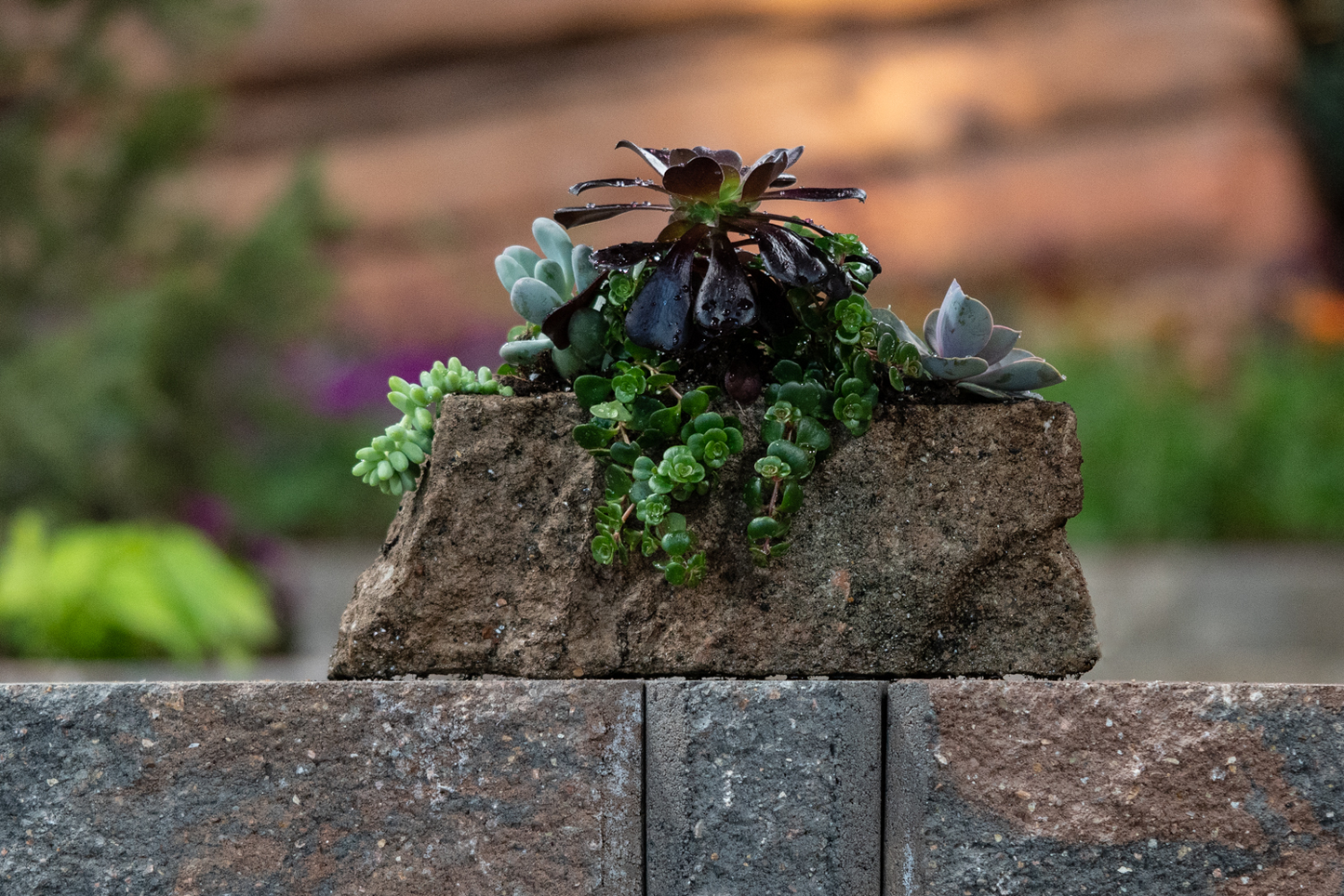 12" Natural Stone Planter
